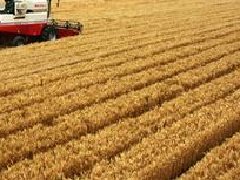 湖北提出“一芯驅(qū)動(dòng)、兩帶支撐、三區(qū)協(xié)同”的區(qū)域和產(chǎn)業(yè)規(guī)劃布局