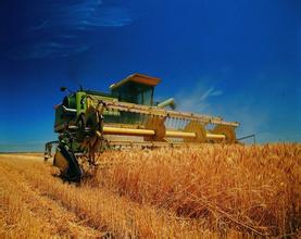 益海嘉里王?。捍睢耙粠б宦贰苯ㄔO(shè)快車加快農(nóng)業(yè)“走出去”