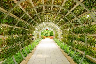 2016年農業(yè)項目扶持資金申報渠道集合（匯總）