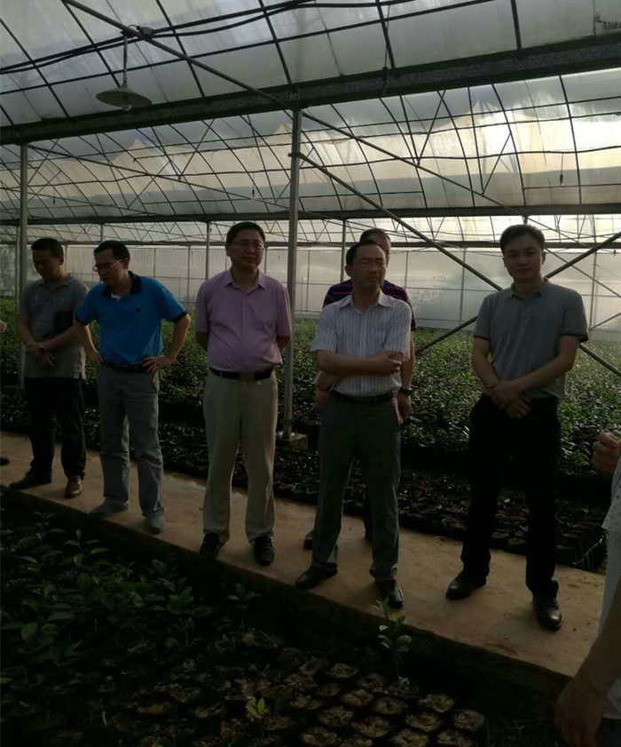 院長(zhǎng)李文輝在湖南宜章經(jīng)開區(qū)及農(nóng)業(yè)科技園進(jìn)行調(diào)研