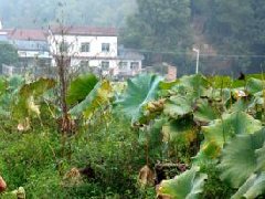 西安交通大學(xué)召開(kāi)“十四五”信息化發(fā)展規(guī)劃專題工作會(huì)議