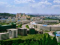 規(guī)劃引領(lǐng) 數(shù)字轉(zhuǎn)型 創(chuàng)建增效 高質(zhì)量推進(jìn)新時代三農(nóng)發(fā)展