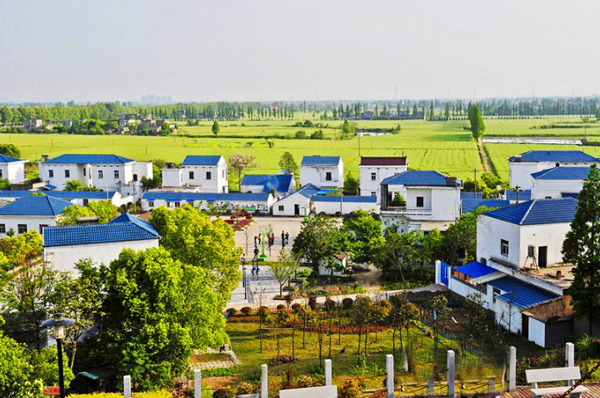 平陽縣國家農(nóng)業(yè)科技園區(qū)示范區(qū)績效考評喜獲優(yōu)秀