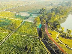 青島“十四五”科技創新規劃思路出爐