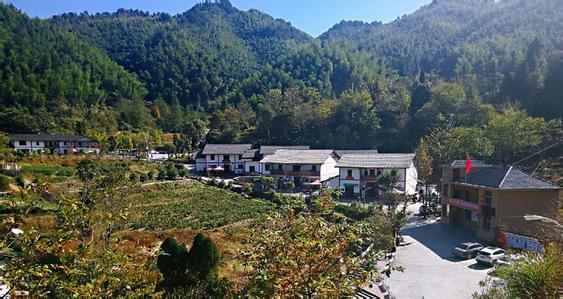 五、鄉(xiāng)村振興科技引領示范村鎮(zhèn)的申報