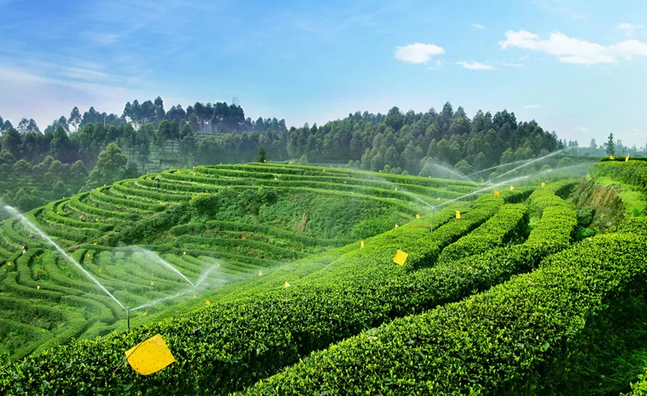 2019年國(guó)家先給錢后建設(shè)的4類農(nóng)業(yè)產(chǎn)業(yè)項(xiàng)目，最多補(bǔ)貼1個(gè)億