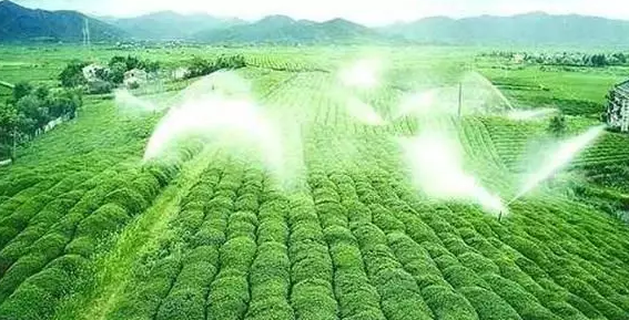 重磅！2019中央一號文件即將發布！大農業領域迎來新機遇