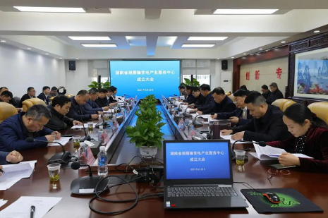 湘雁輸變電產(chǎn)業(yè)服務(wù)中心在長(zhǎng)沙成立，湖南輸變電產(chǎn)業(yè)開啟發(fā)展新篇章